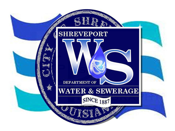 W&S New Logo. Waves.FINAL