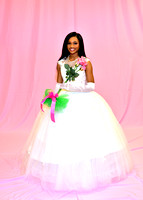 AKA Debutantes
